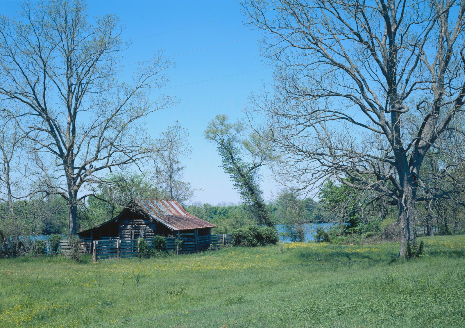 A weathered log building with a rusted tin roof in a meadow by the Cane River